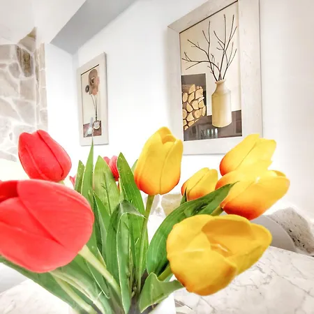 Apartment San Domenico House